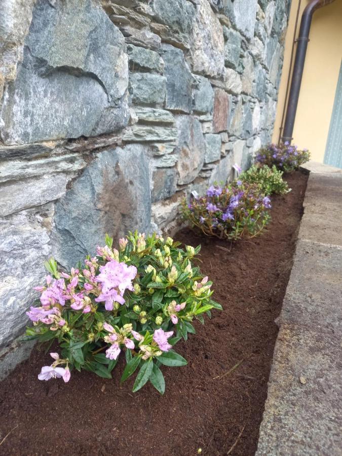 Punta Vittoria Sub 14 - Residence Anderbatt Gressoney - 3 Locali - Cir N 0010 Staval Luaran gambar