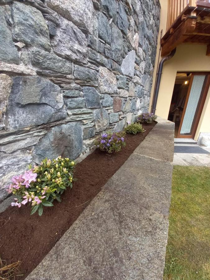 Punta Vittoria Sub 14 - Residence Anderbatt Gressoney - 3 Locali - Cir N 0010 Staval Luaran gambar